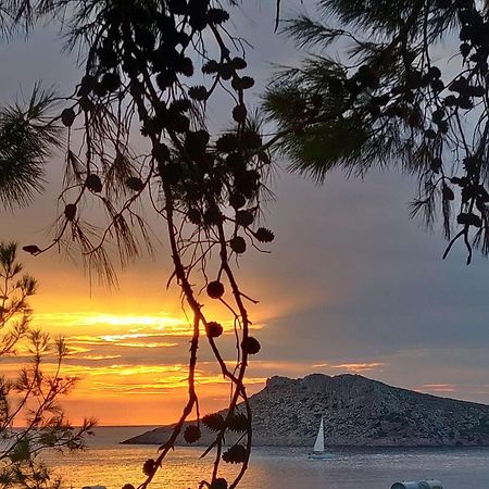 Aphrodite Studios Kalymnos Myrties Exteriör bild
