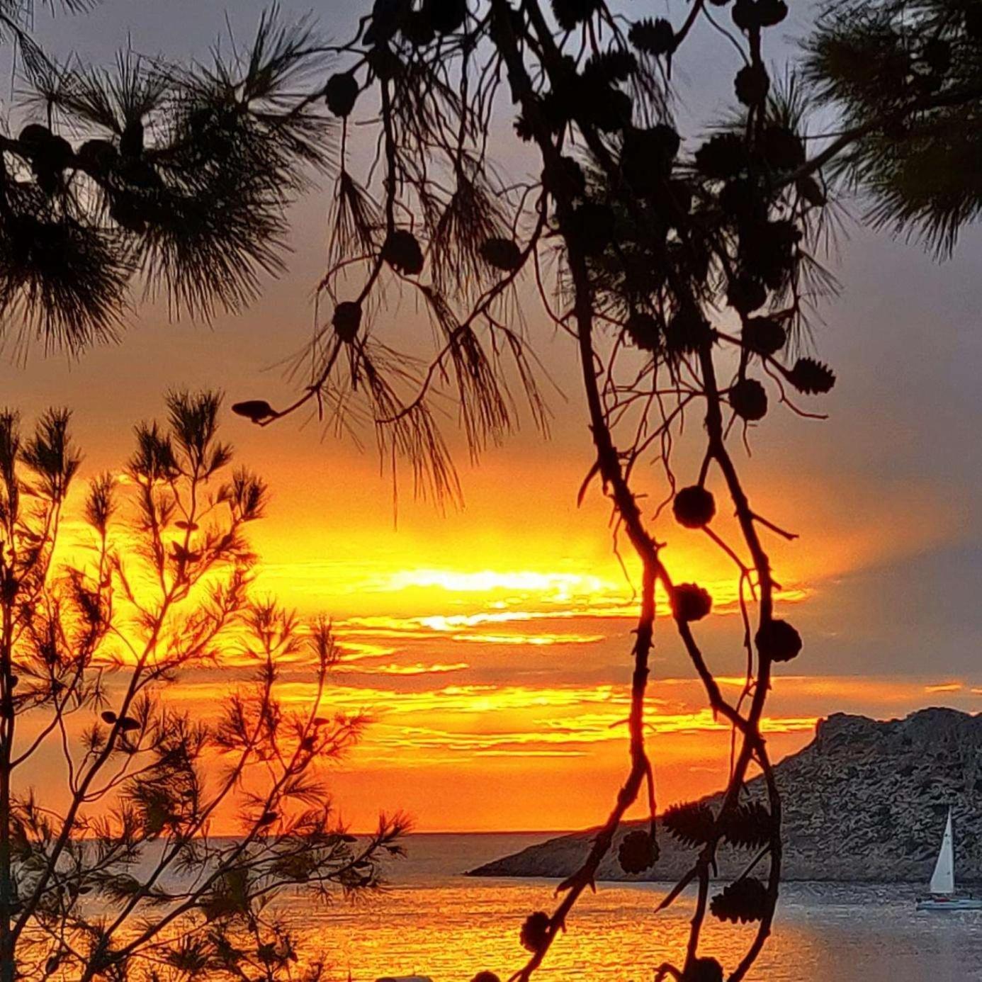 Aphrodite Studios Kalymnos Myrties Exteriör bild